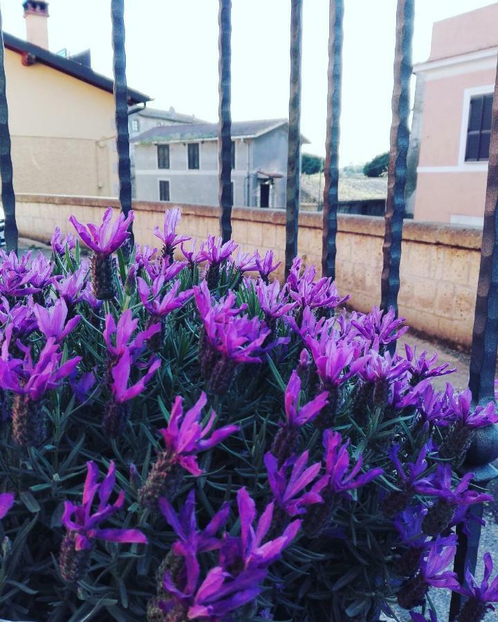 Ferienwohnung Il Palazzetto Sulla Francigena Formello Exterior foto